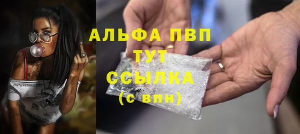 амф Аркадак
