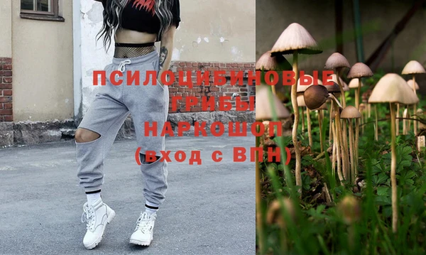 амф Аркадак