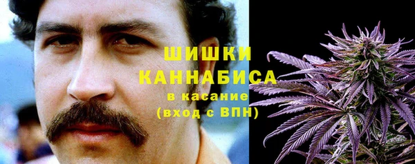 амф Аркадак