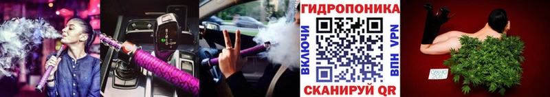 Каннабис сатива  MEGA   Аркадак 